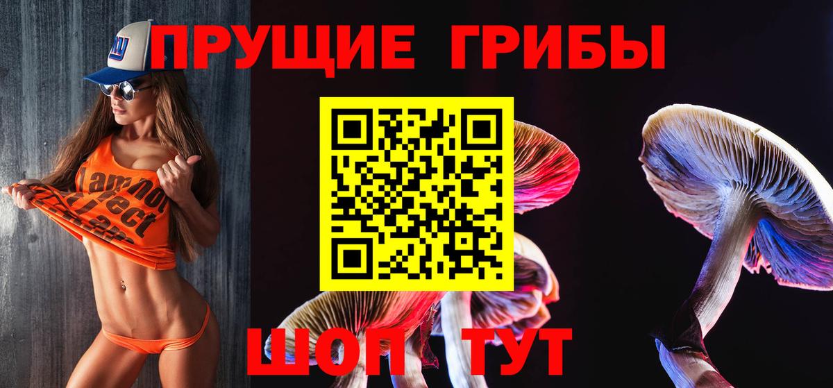 Можайск  Псилоцибиновые грибы прущие грибы  Вход с VPN 