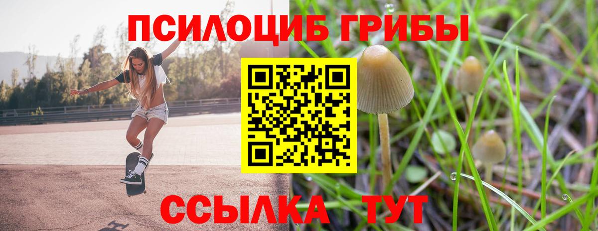 Галлюциногенные грибы Psilocybine cubensis Можайск
